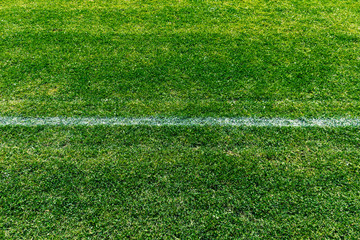Detail of a soccer field with white line