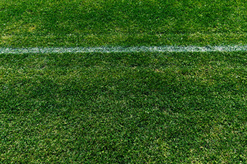 Detail of a soccer field with white line