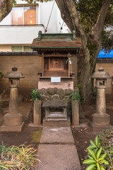 Small wooden auxiliary shrine called Setsumatsusha with two stone lanterns and Cleyera japonica called in the Tokyo Tennoji Temple.