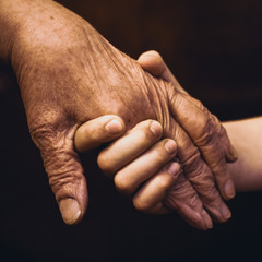 Fototapeta premium The hands of an old grandmother and a child touch in a handshake for support and help.