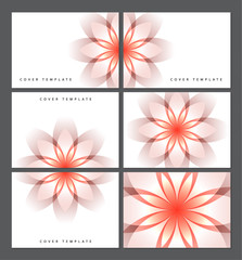 Collection of greeting cards with a bright isolated flower on a white background, transparent petals. Place for text. Templates for your design.