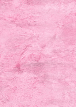 Natural Furry Texture. Bright Pink Winter Background