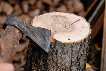 An ax stuck in a log. Ax blade close.