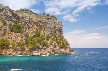 Fototapeta na wymiar Seascape in Mallorca. The Mediterranean.