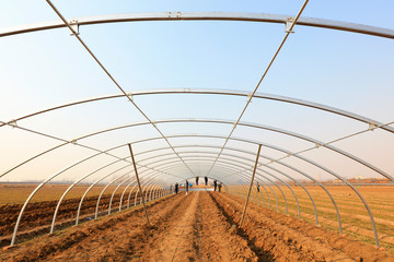 workers are building an oval tube full steel greenhouse greenhouse, luannan county, hebei province,...