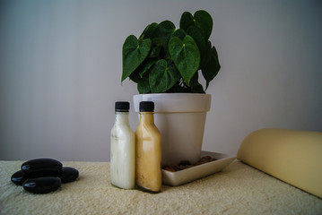 massage, relaxation, therapies, coconut oil, bottles, plants, pots