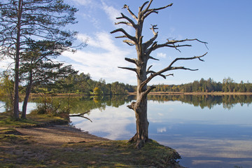 Naturschutzgebiet Osterseen