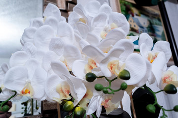 White flowers with texture 