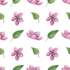 Watercolor seamless pattern with pale pink sakura flowers.