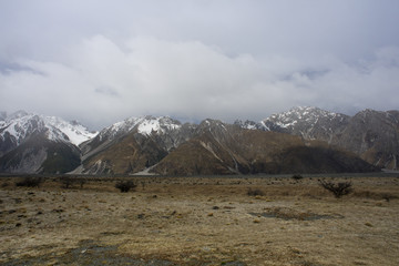 Mount Tasman view from dried field after winter season.