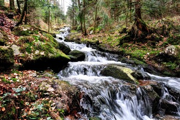 Obraz premium Chute d'eau en pose longue