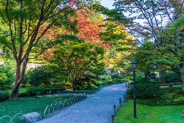 Fototapeta na wymiar Garden Walkway With Fall Colors 4