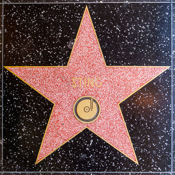 Stings star on Hollywood Walk of Fame