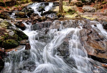Fototapeta premium Chute d'eau en pose longue