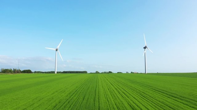 Deux &eacute;oliennes dans un champ de lin une journ&eacute;e ensoleill&eacute;e