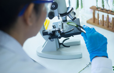 hands Asian scientist  working  In a laboratory research
