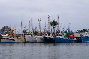 Fototapeta premium botes