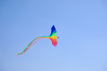 Kites are flying in the air