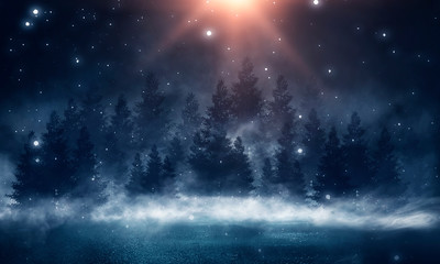 Winter abstract landscape. Sunlight in the winter forest. 