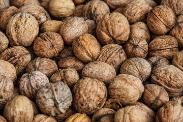 walnuts, unpeeled greek nuts, harvest of walnuts, walnuts closeup, background with walnuts,organic delicious nuts. healthy snack.