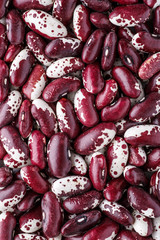Beans of bean ( beans ).Texture of violet with dots beans.Beans handsome.Swallow beans.Cocnept textures of legumes,Vegetables for diet and healthy eating.Organic food.