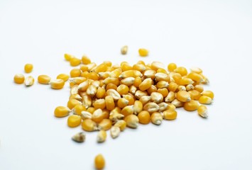 Pop corn seeds isolated on white background.