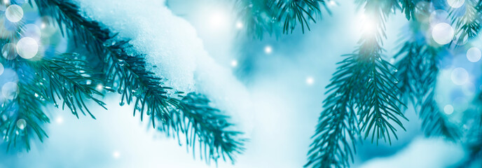 Christmas and New Year holiday background with copy space. Fir branches in snow and festive bokeh. Wallpaper, banner.