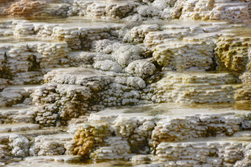 Mammoth Hot Springs