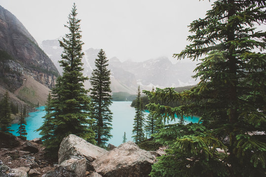 Foggy view of Moraine lake and mountains through evergreen trees.