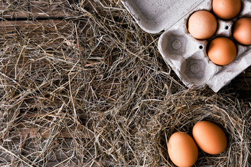 Chicken eggs in a wicker nest and in a box in a chicken coop top view. Natural organic eggs in the hay. Fresh chicken eggs. © SOLDATOOFF