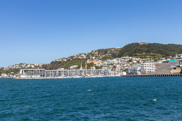 Fototapeta na wymiar Wasserfront von Wellington in Neuseeland auf der Nordinsel