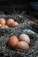 Chicken eggs in wicker nests in chicken coop top view. Natural organic eggs in the hay. Fresh chicken eggs.