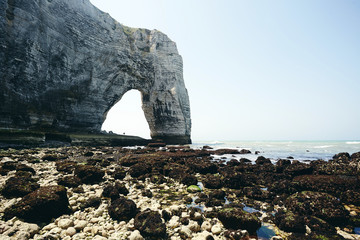 Low tide in the shore of Etretat with rocks ands seaweed