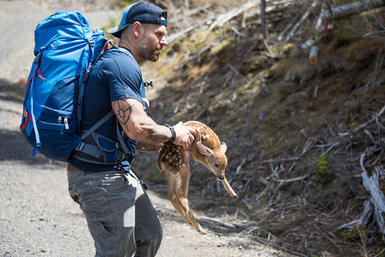 Hiker rescues newborn deer, moves off roadway.