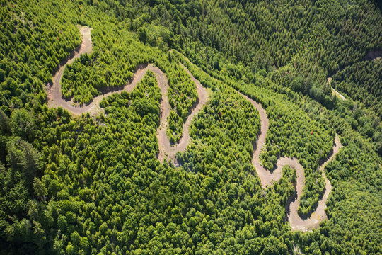high angle view of switch-backs on a forest service road