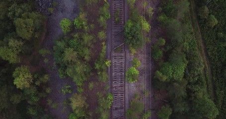 Old destroy rusty narrow gauge railways in wild abandoned forest landscapes / summer sunset - Aerial drone top down view - Powered by Adobe