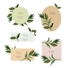Green tea leaves set logo. Leaf plant botanical garden floral foliage. Watercolor background illustration, drawing aquarelle isolated for cosmetic,spa, label, organic shop, textile, fashion - 307456955