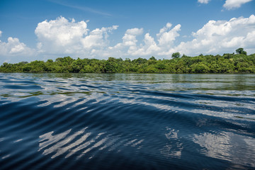 Dazzling view of Amazon river waters