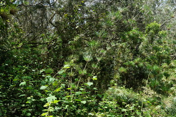 Fototapeta premium la réunion nationalpark cirque de mafate in frankreich