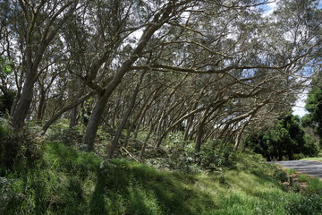 la réunion nationalpark cirque de mafate in frankreich
