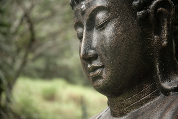 Buddha statue in a garden