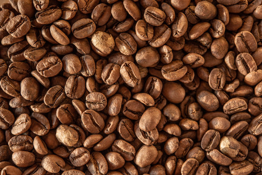 Grains of the best coffee produced in Brasil