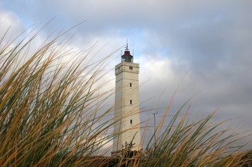 Blåvandshuk fyr in Dünenlandschaft mit Dünengras