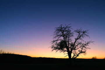 Fototapeta na wymiar Idyllic sunset