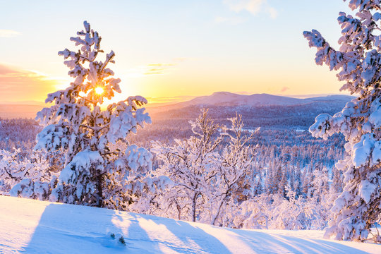 Winter landscape at sunset