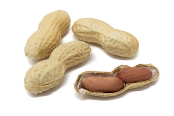arachidi in guscio su sfondo bianco