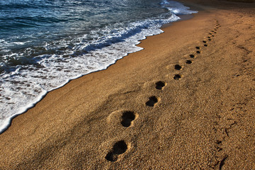 Footprints in the sand following the coastline