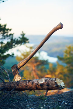 Axe in tree trunk