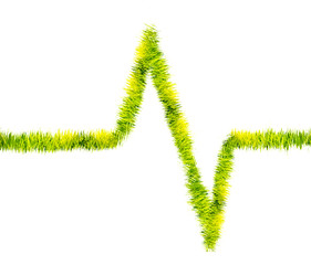 Cardiogram with grass isolated on white background.