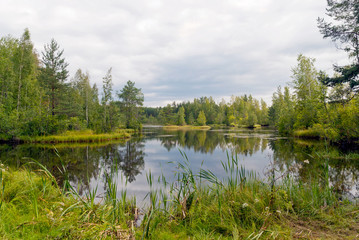 Fototapeta na wymiar Small lake on the territory of Sestroretsk swamp. Saint-Petersburg. Russia